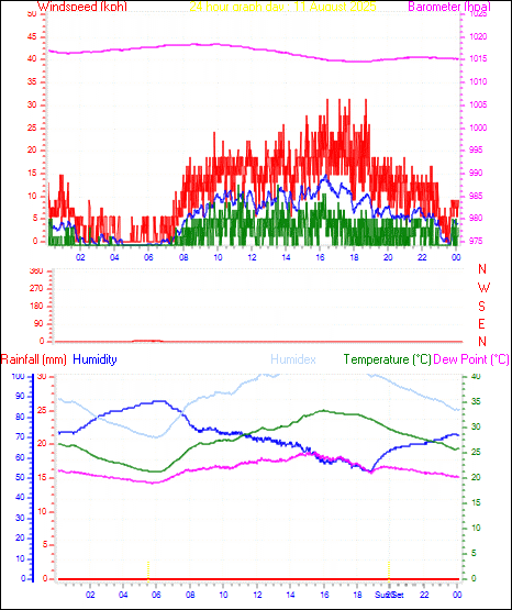24 Hour Graph for Day 11