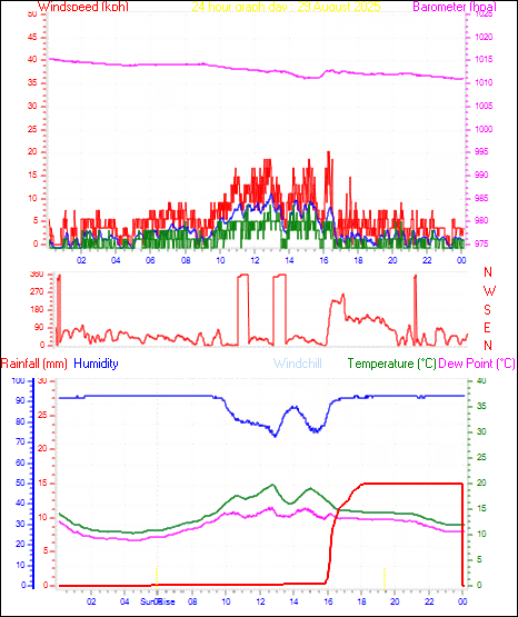 24 Hour Graph for Day 29
